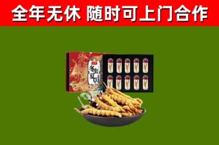 碌曲烟酒回收冬虫夏草礼盒.jpg